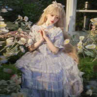 Vintage Lolita Dress Elegant Short Sleeve Illusion Neck Sweet Princess Party Dresses by Yomi ~ Irises in Bloom